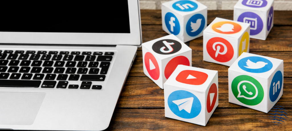 the social media and seo boutique